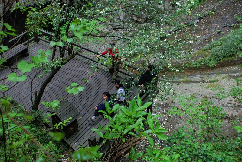 dsc_0210.jpg