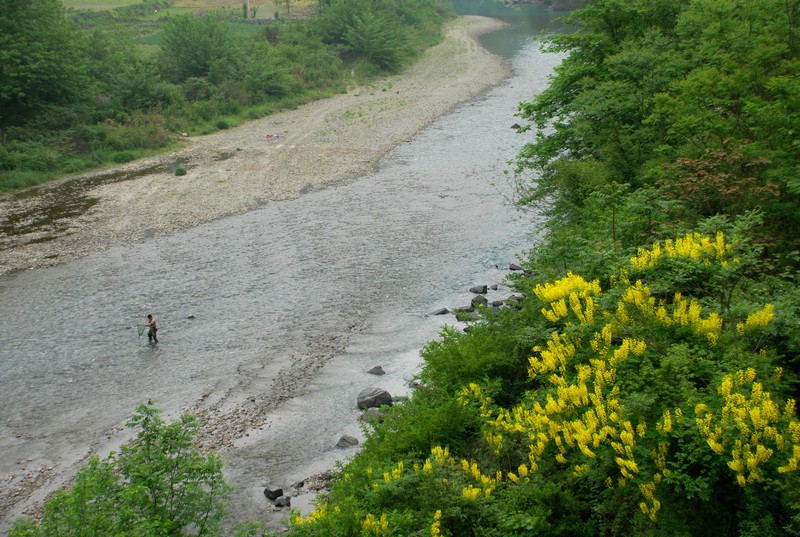 dsc_0307.jpg