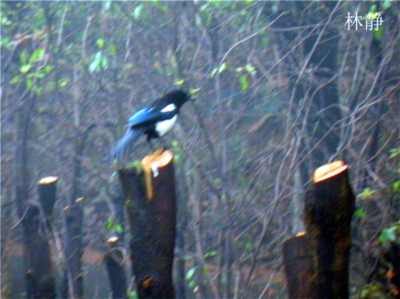 20115711321364680_1.jpg