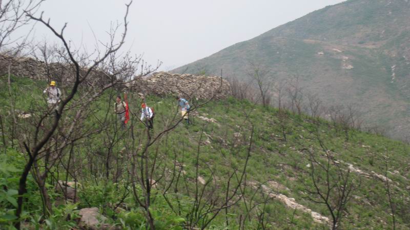 С Ƭ 020.jpg