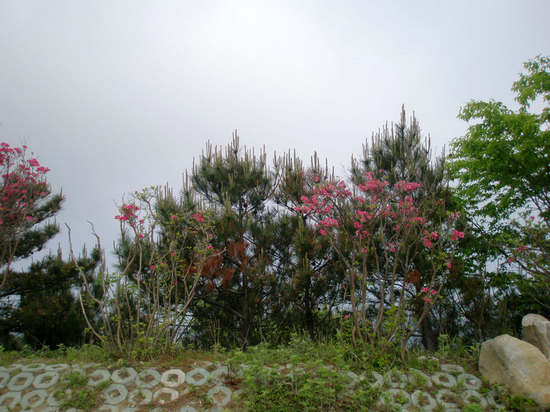p1010713.jpg