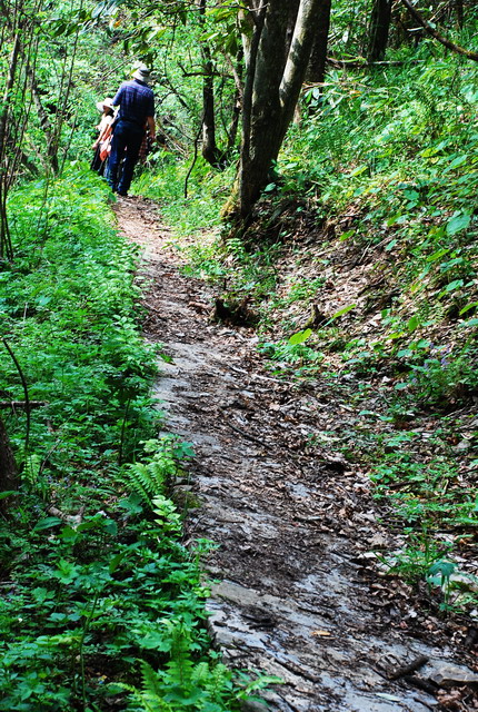 dsc_0018.jpg
