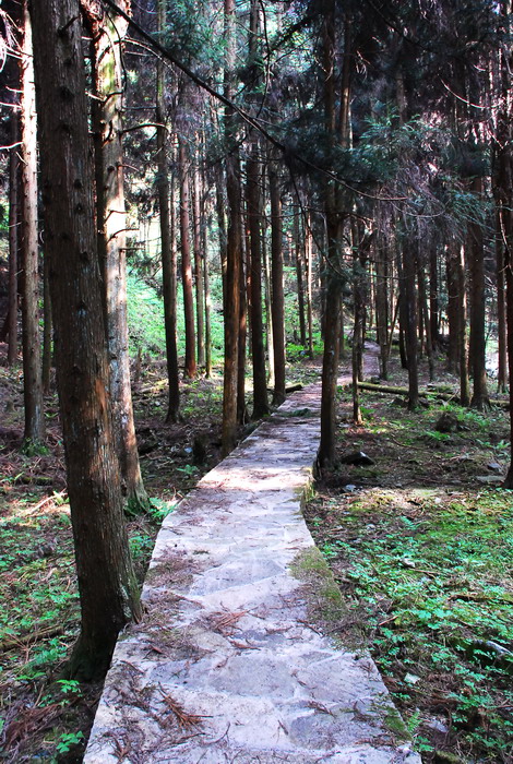 dsc_0035.jpg