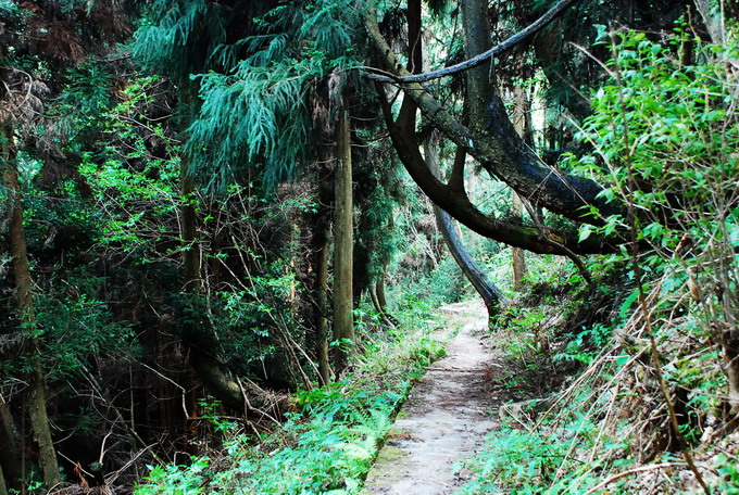 dsc_0048.jpg