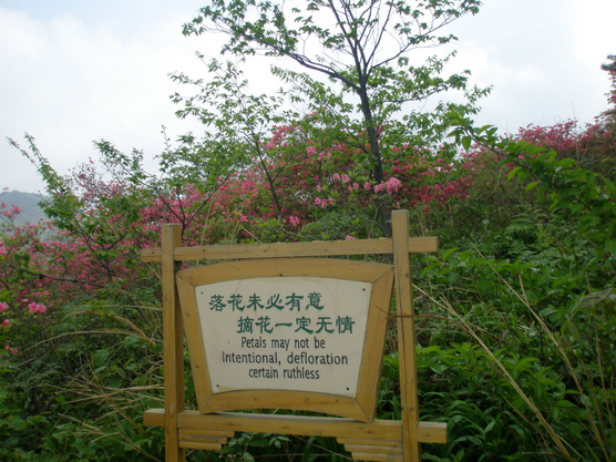 p1010757.jpg