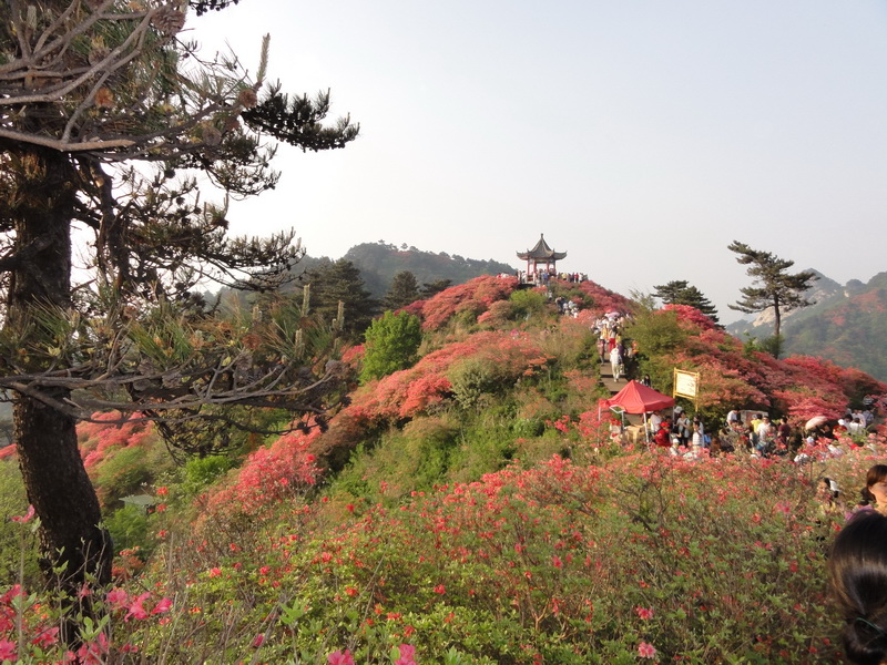 201105071732.jpg
