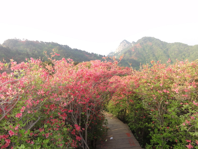 201105071736.jpg