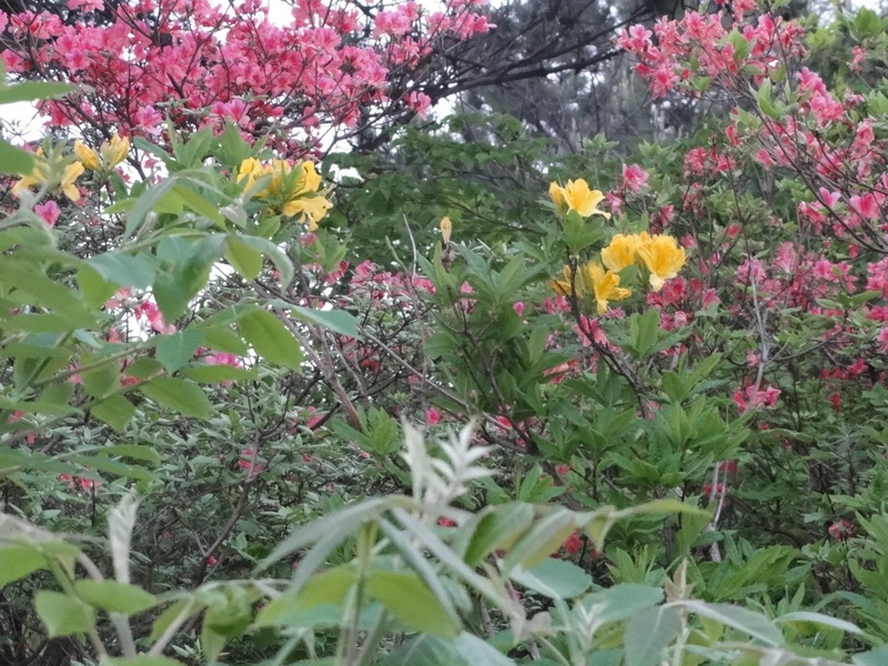 201105071759.jpg