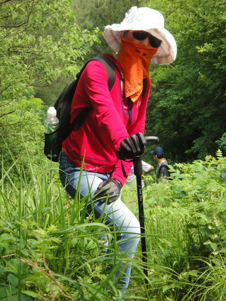 dsc08811.jpg