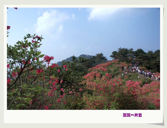 dsc09814.jpg