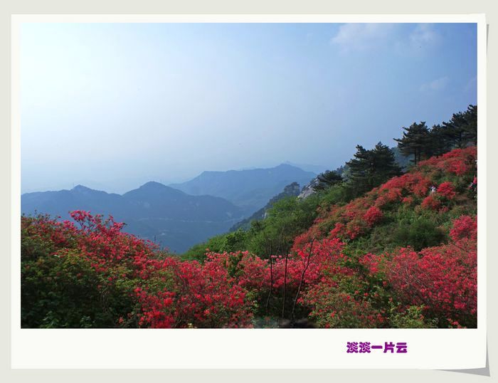 dsc09819.jpg