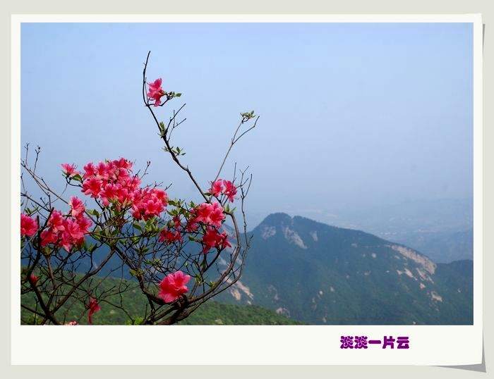 dsc09836=.jpg