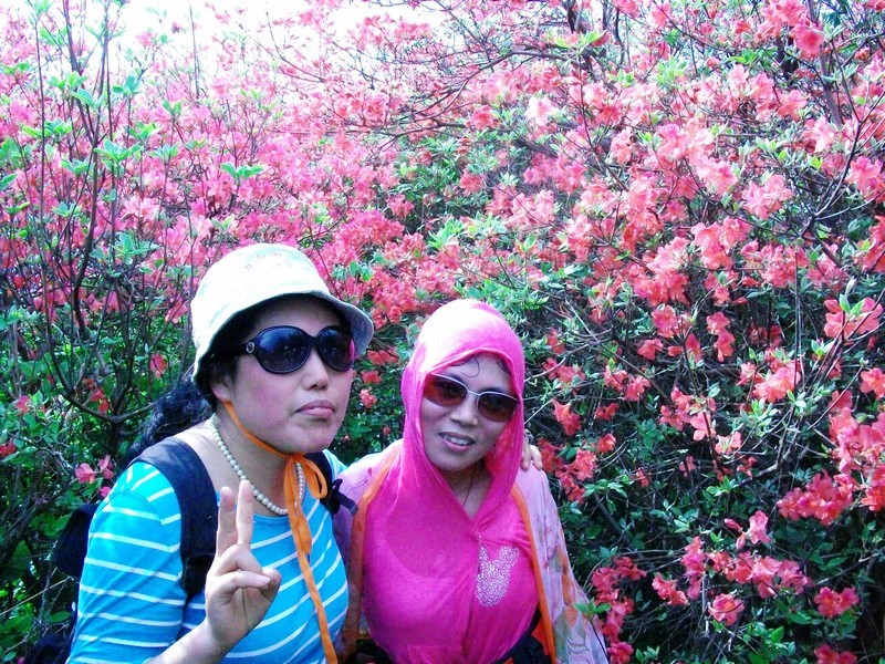 alim5968.jpg