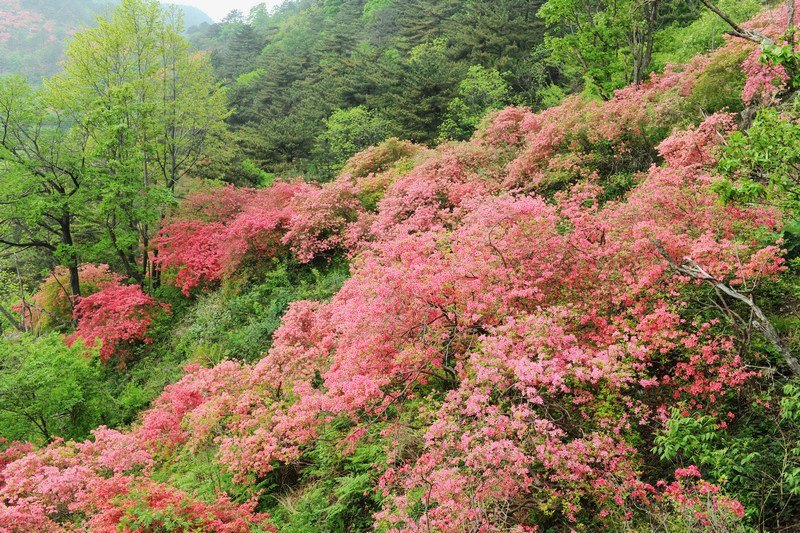 dsc_1588.jpg