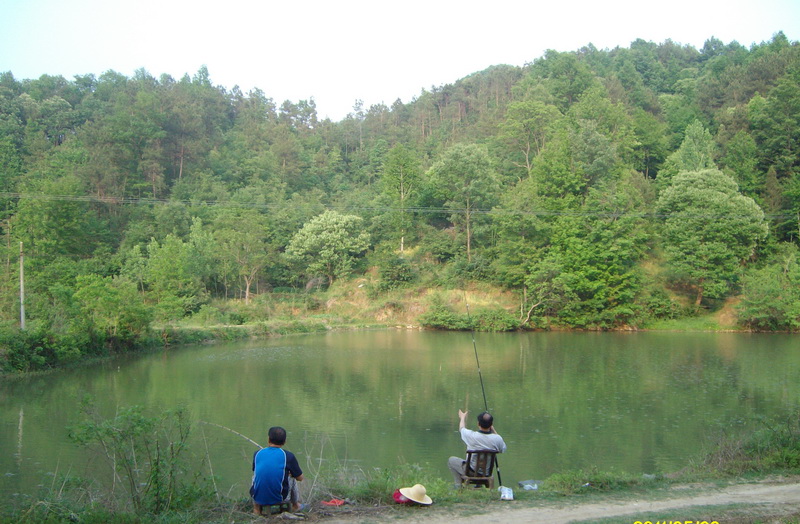 sany5420.jpg