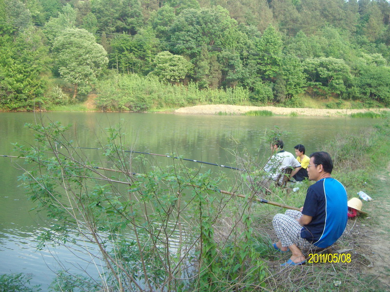 sany5416.jpg
