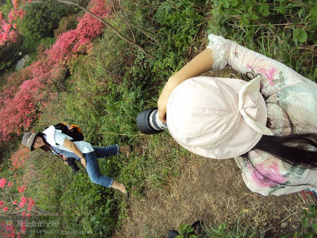 010.jpg