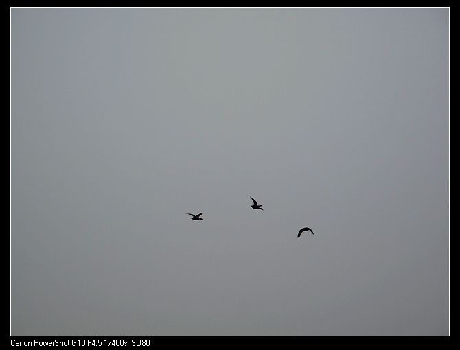 neo_img_img_1903.jpg
