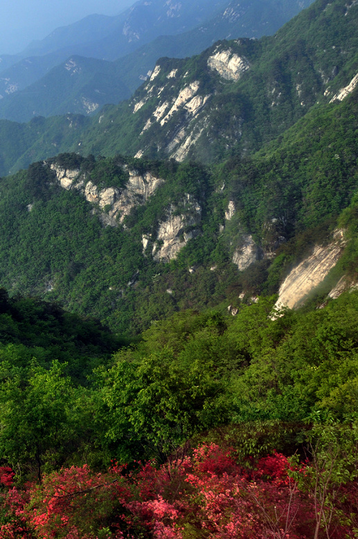 dsc_4944_1.jpg