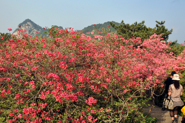 dsc_5014__.jpg