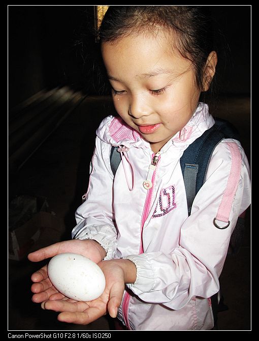 neo_img_img_1896.jpg