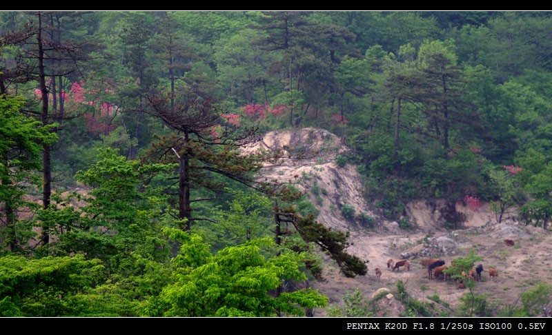 111imgp9523-1.jpg