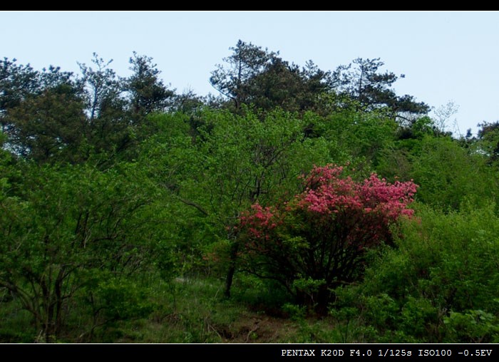 111imgp9530-1.jpg