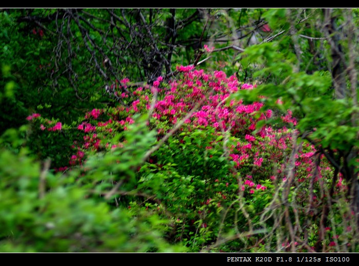 111imgp9514-1.jpg