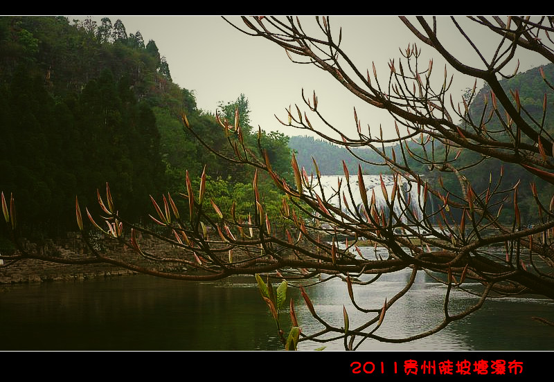 p1120539_.jpg