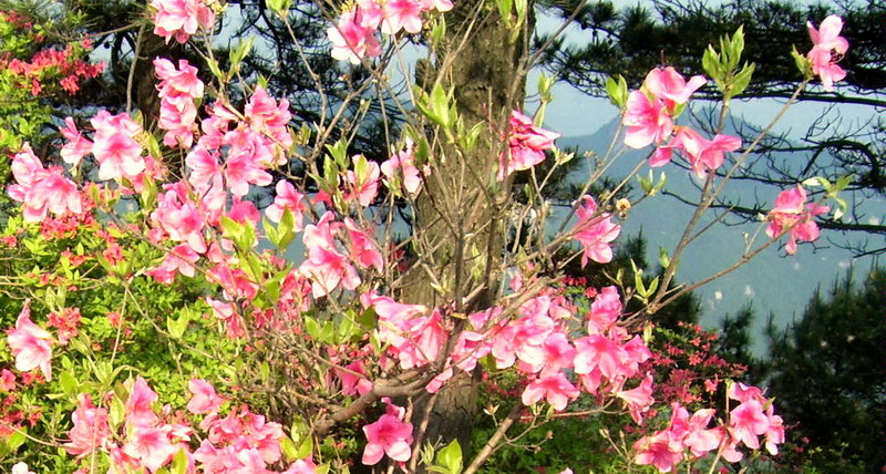 100_5935.jpg