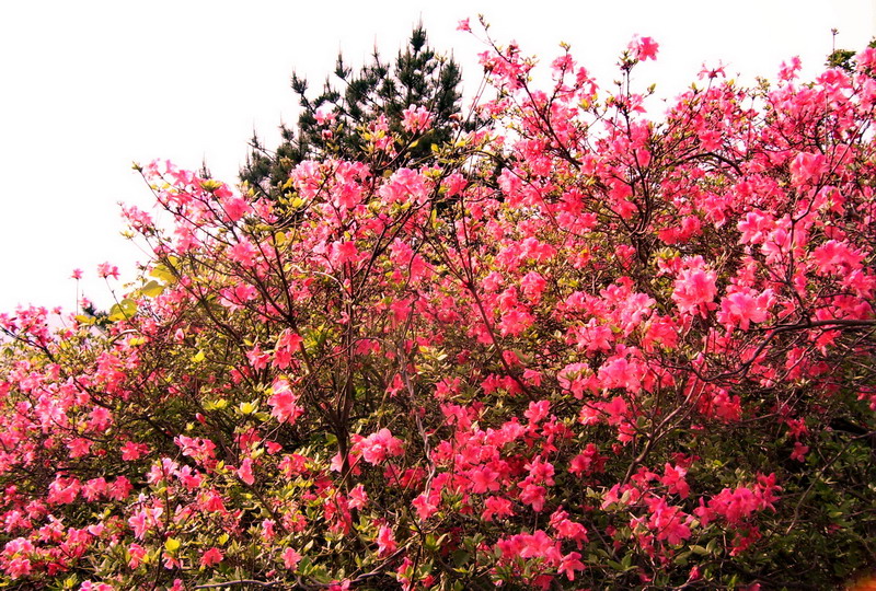 100_5940.jpg