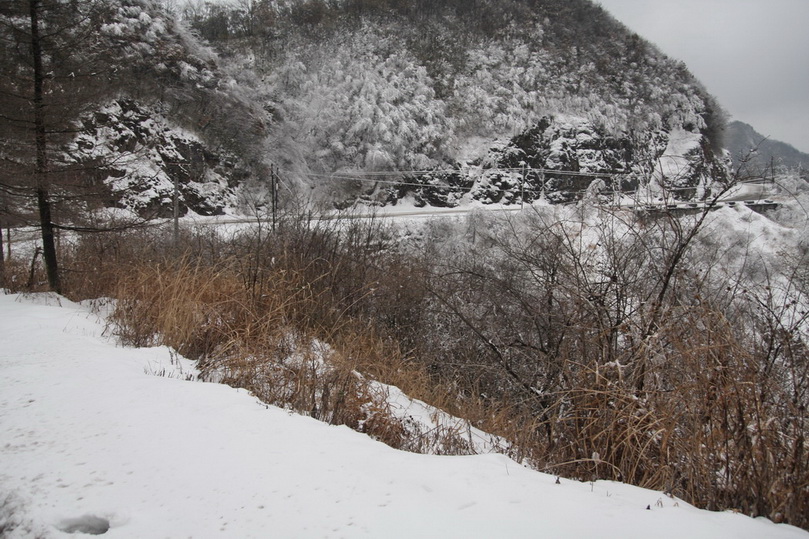 Ŀǭ 350.jpg