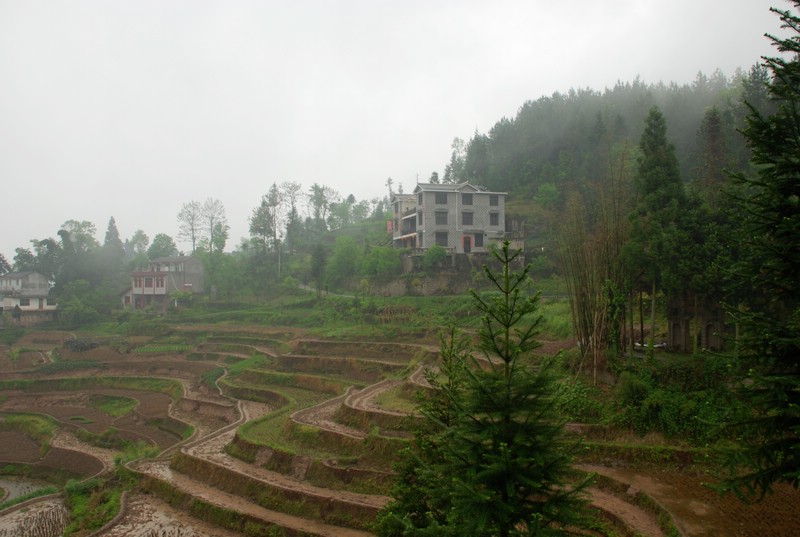 dsc_0452.jpg