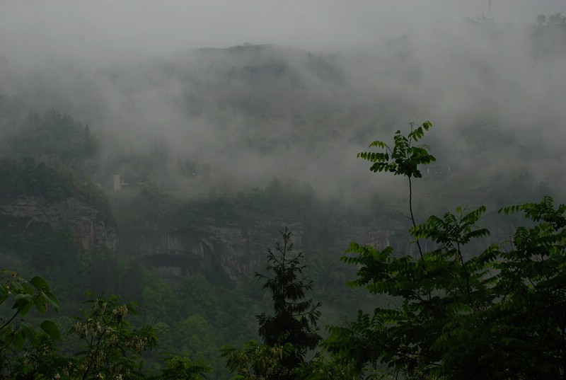 dsc_0470.jpg