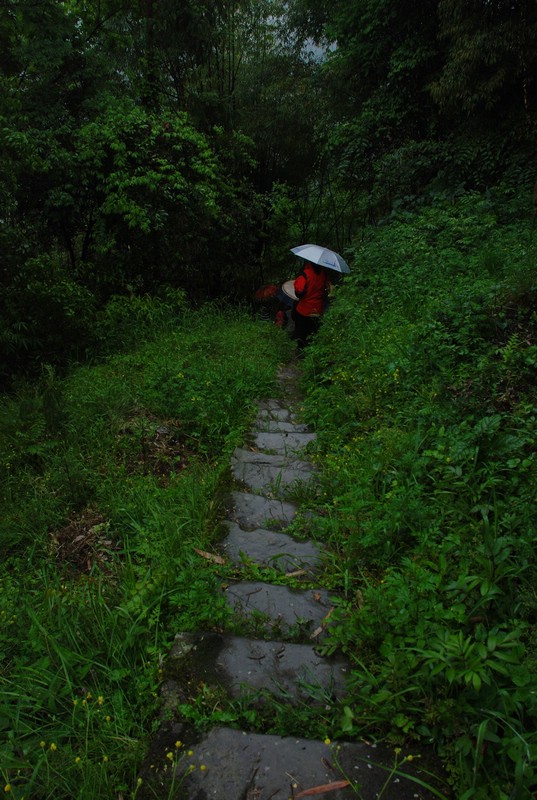 dsc_0475.jpg