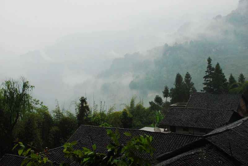 dsc_0480.jpg