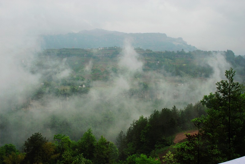 dsc_0556.jpg