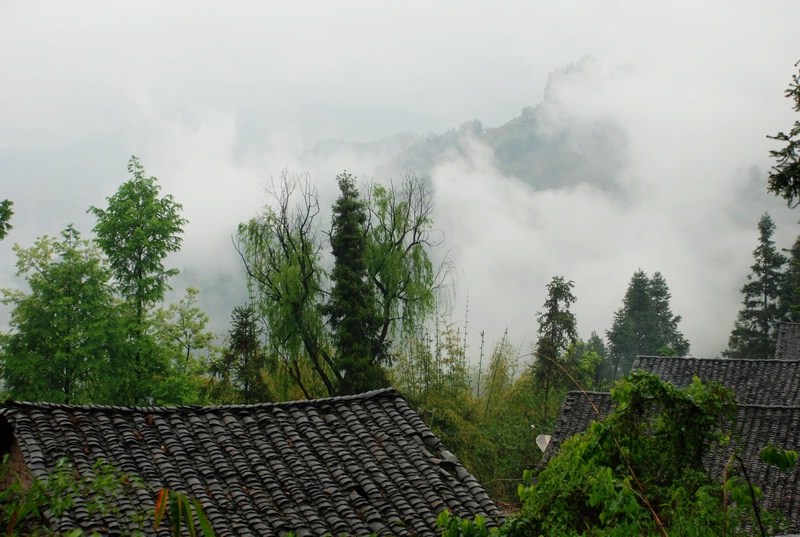 dsc_0490.jpg