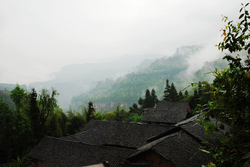 dsc_0505.jpg