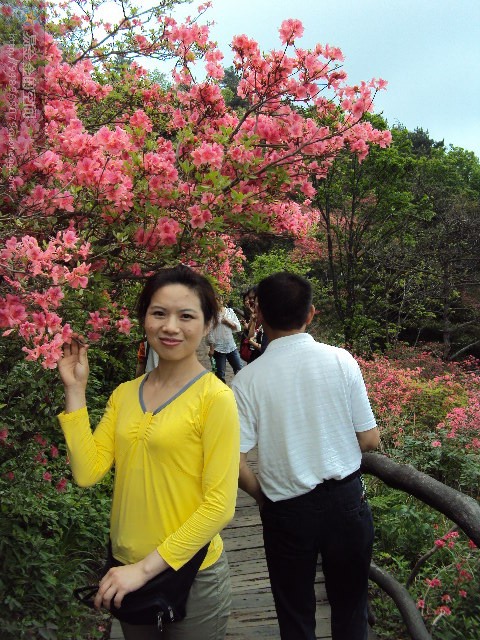 06.jpg