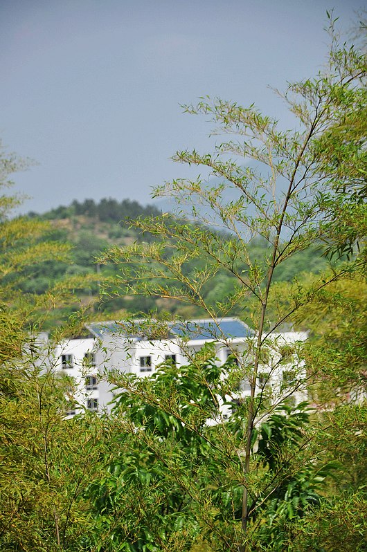 dsc_0327.jpg
