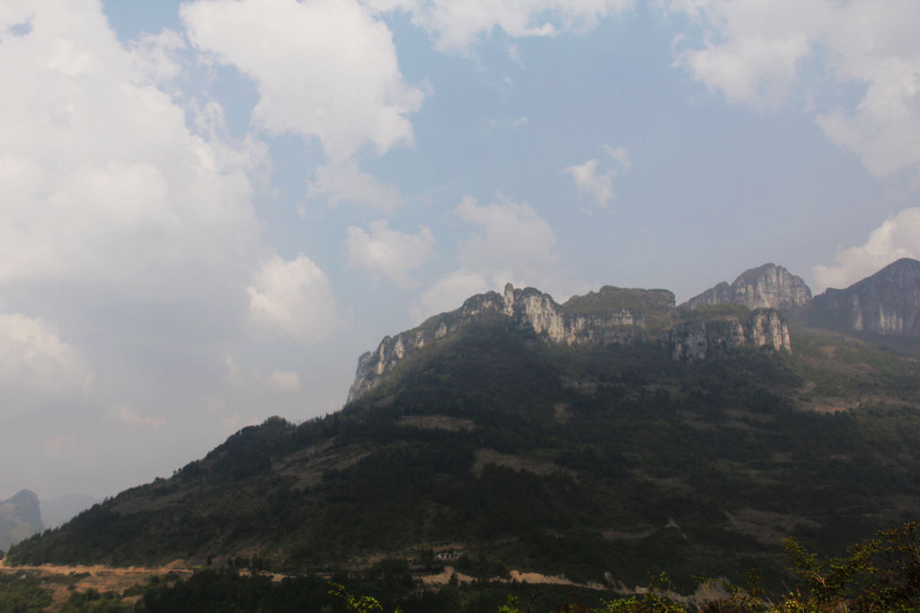 img_0061a.jpg