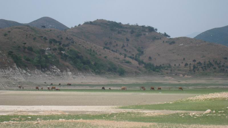 С Ƭ 080.jpg