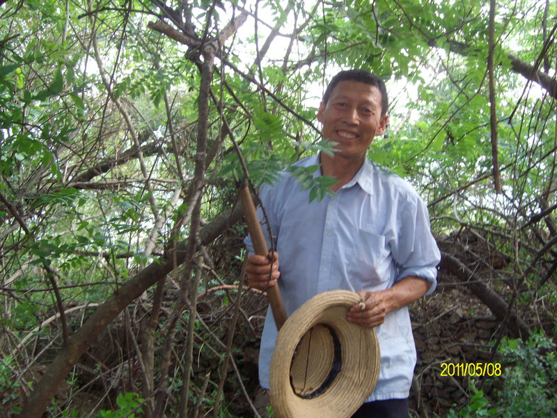 sany5400.jpg