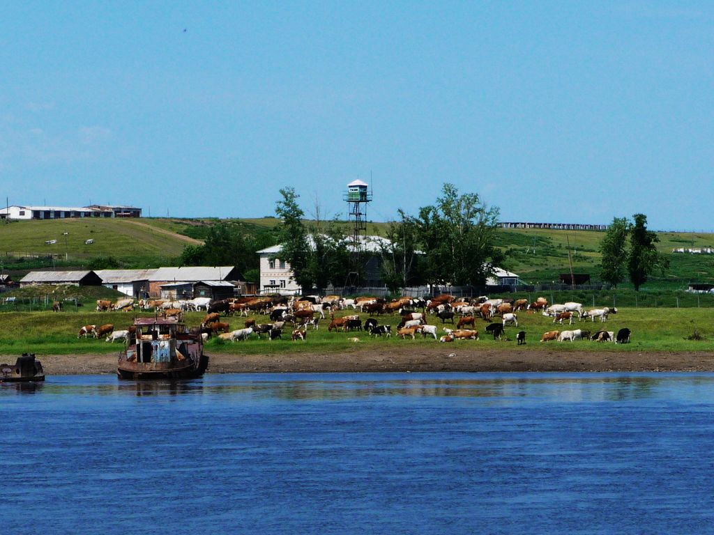 p1120835.jpg