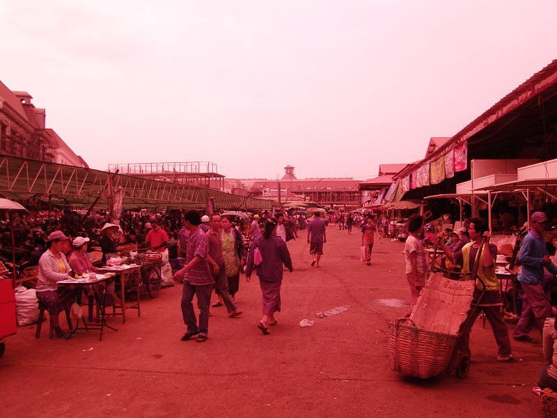 dsc01750.jpg