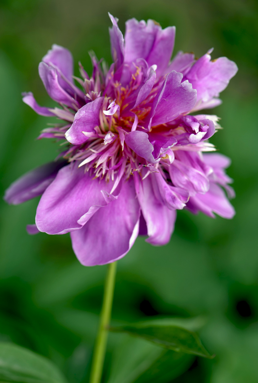 dsc_6183a.jpg