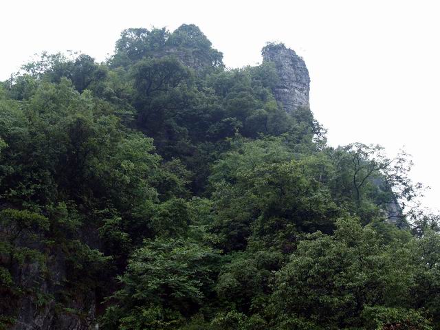 С p6048947.jpg