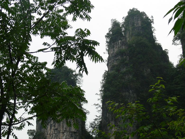 p1150365.jpg