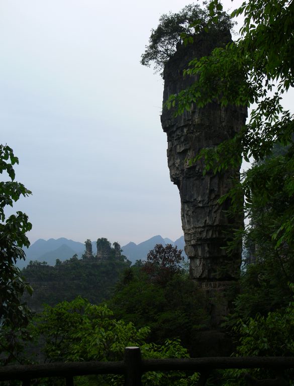 p1150399.jpg